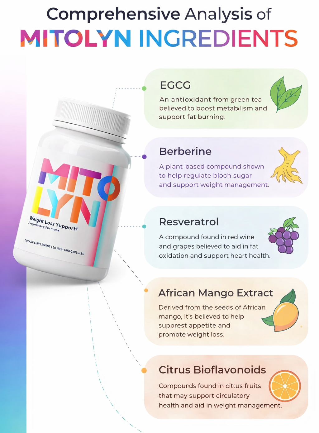 ChatGPT Image Jan 23, 2026, 12_00_52 PM